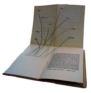 « Piéger » des mots à la dérive : « L’Offrande tropicale  » d’Edmond Dune