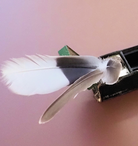 Fieder an Tënt. E Bléck op dem Dicks säi Rees-Schreifset